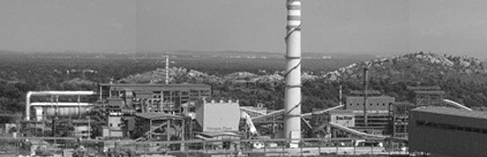 Pellets photo Pellets photo